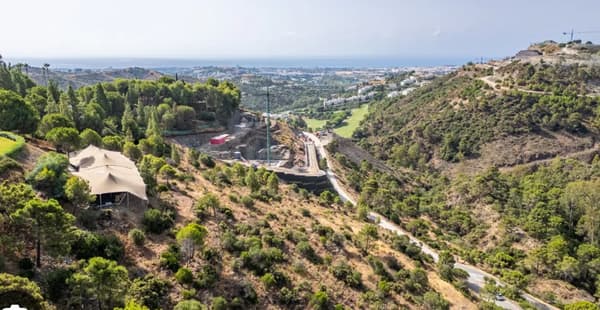 El Madroñal