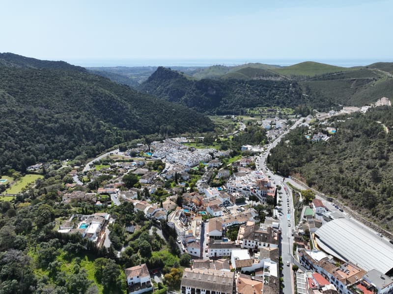 Fuente Lirios 16