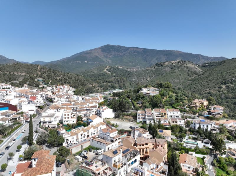 Fuente Lirios 15