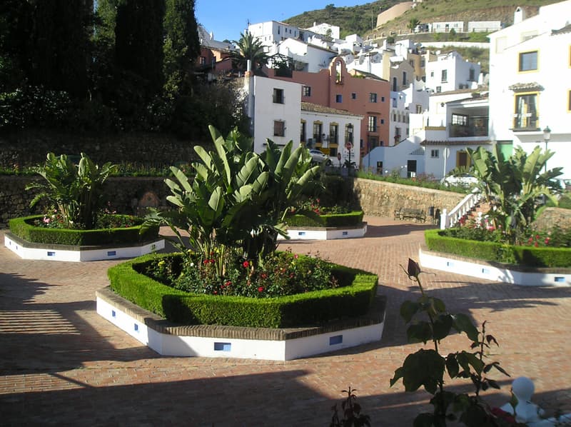 Fuente Lirios 19