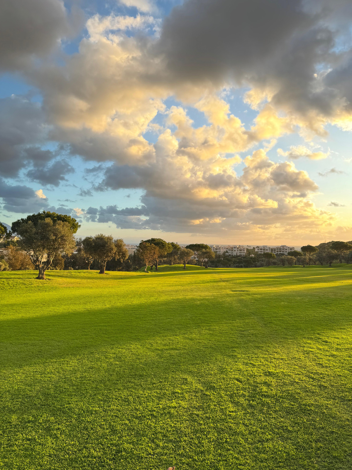 Valley Views 19