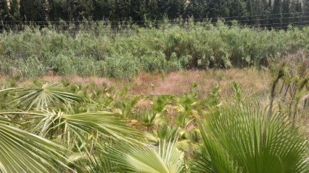 Land in Estepona