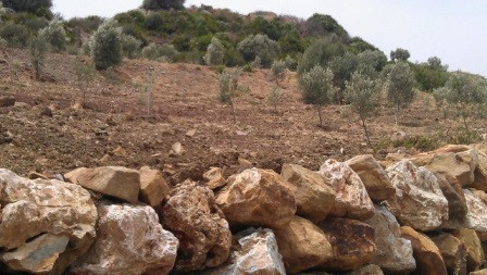 Land in Estepona
