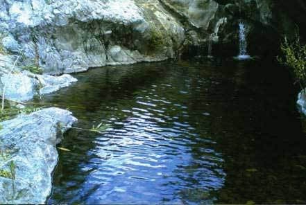 Finca - Cortijo in Estepona