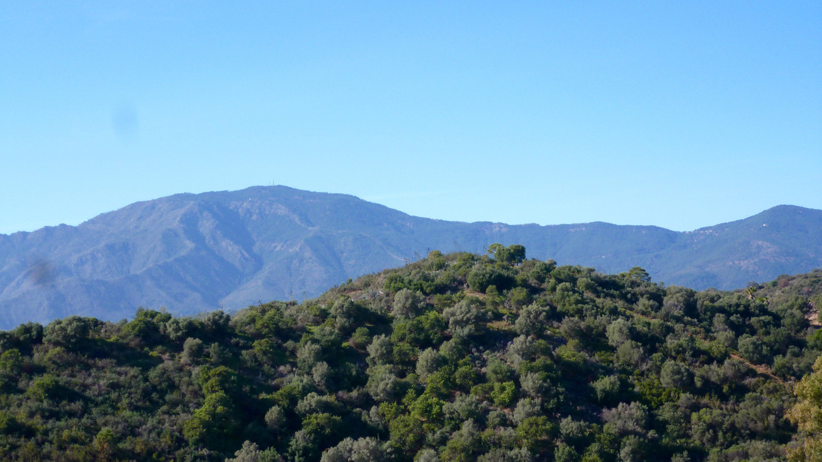 Residential Plot in Estepona