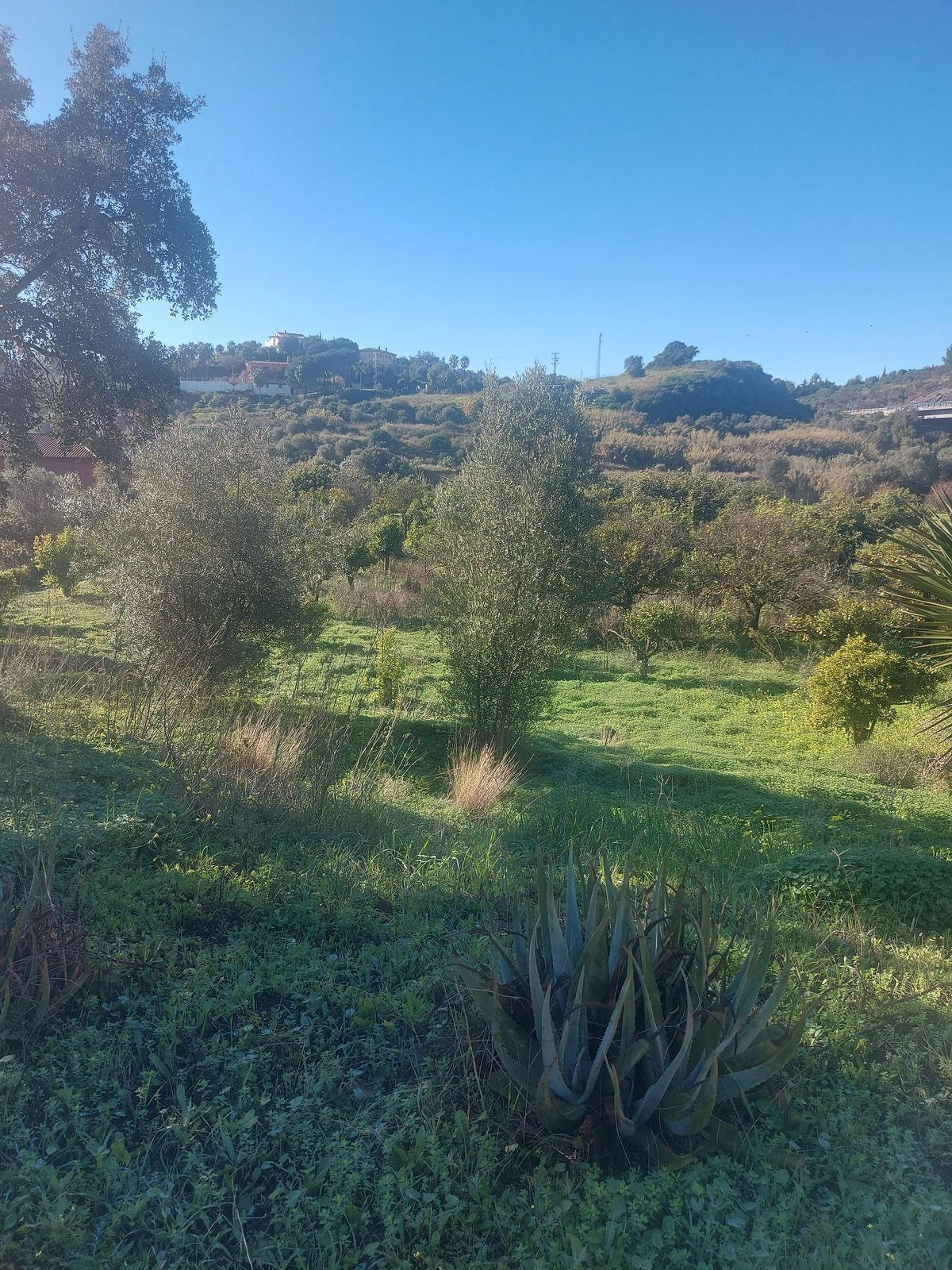 Finca - Cortijo in Estepona