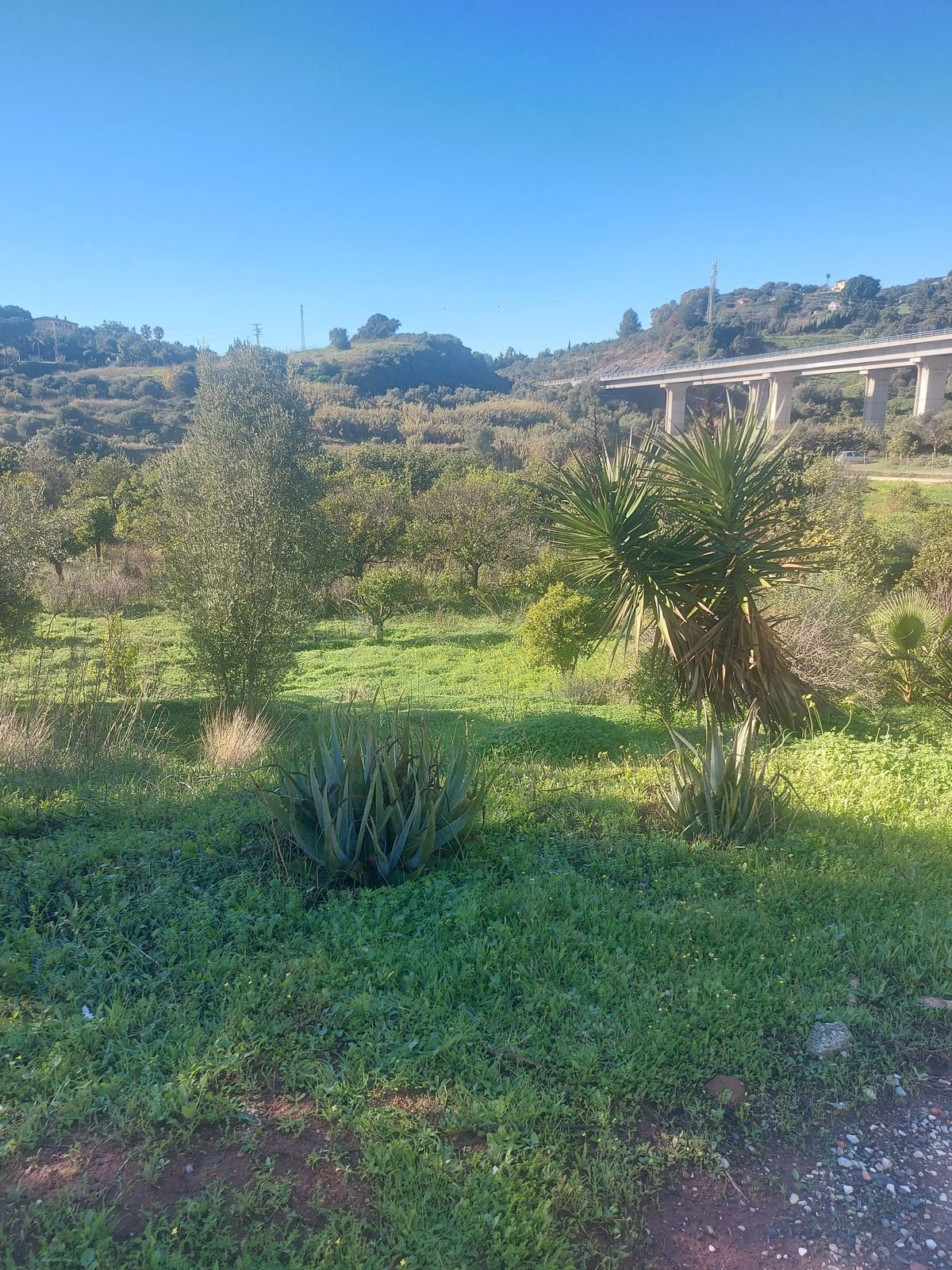 Finca - Cortijo in Estepona
