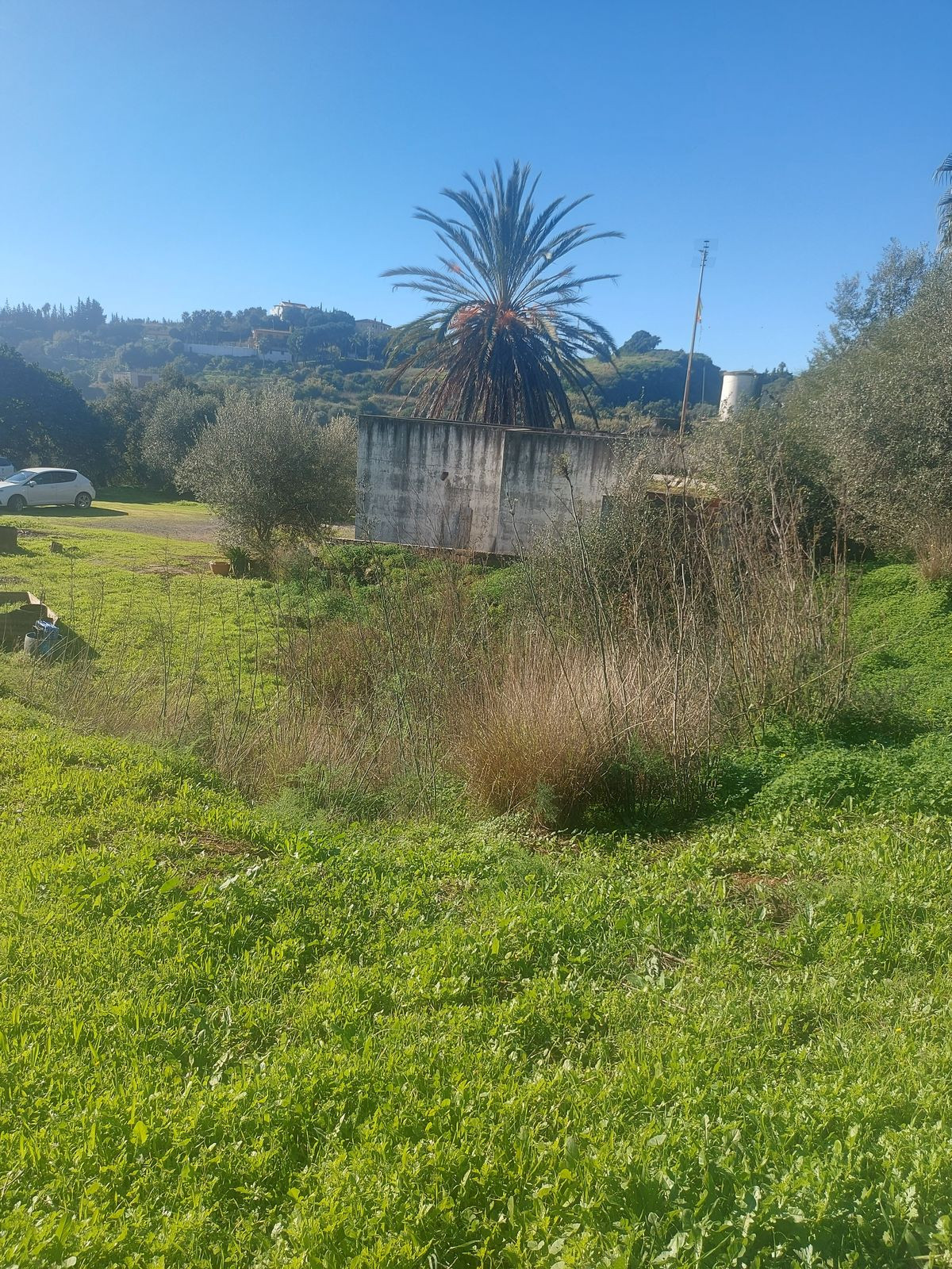 Finca - Cortijo in Estepona