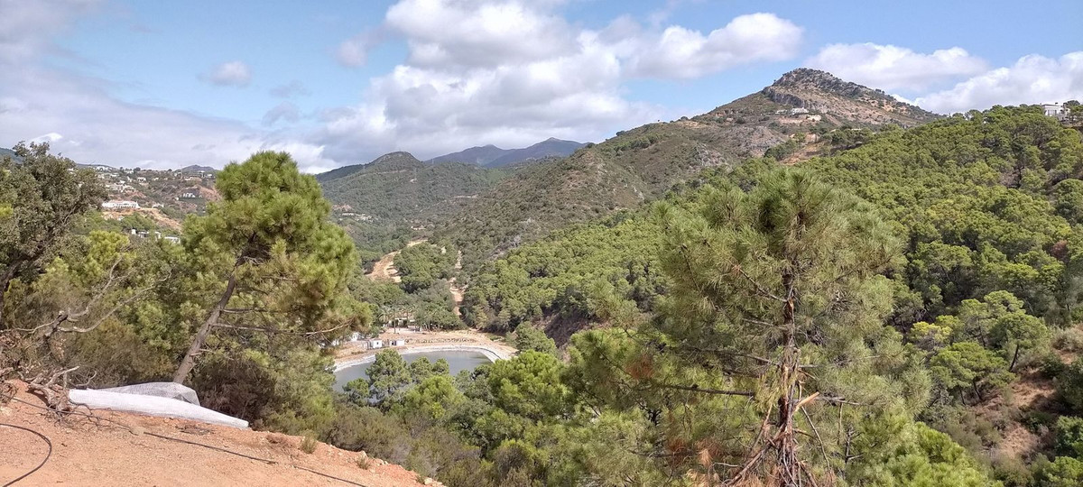 Land in Benahavís