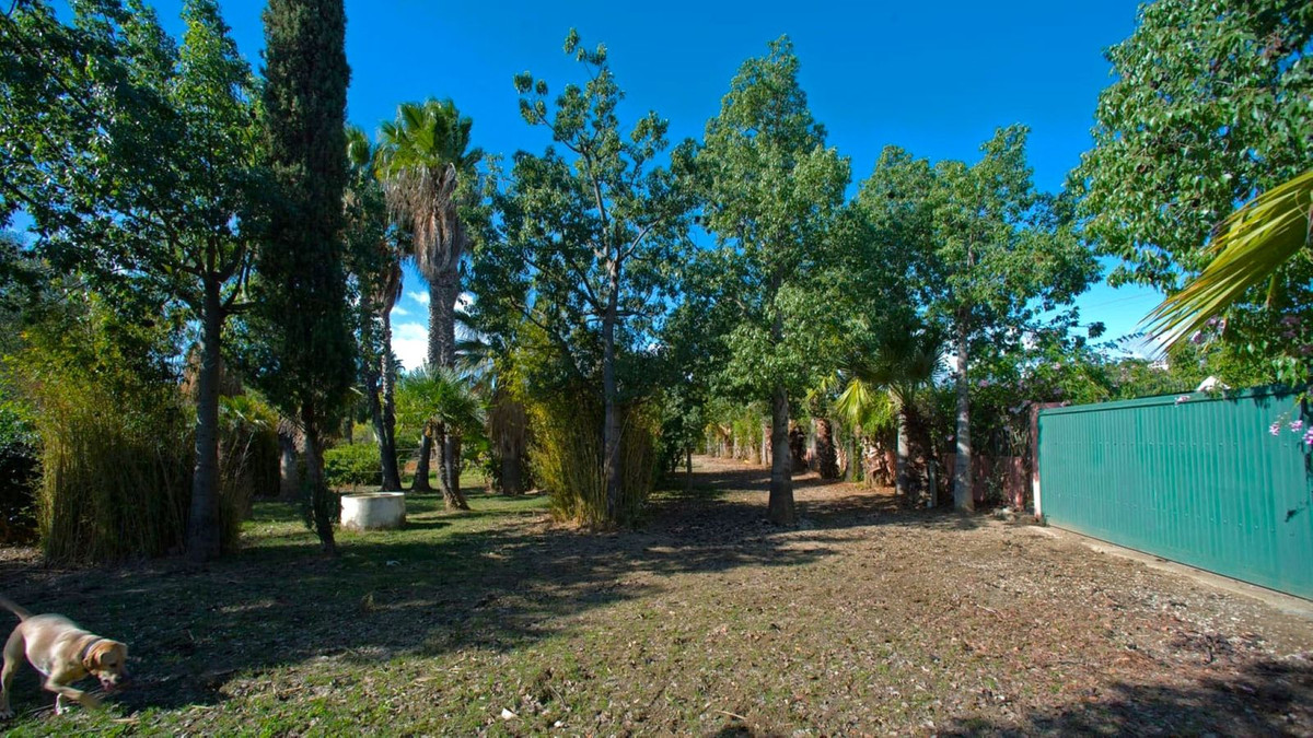 Finca - Cortijo in Estepona