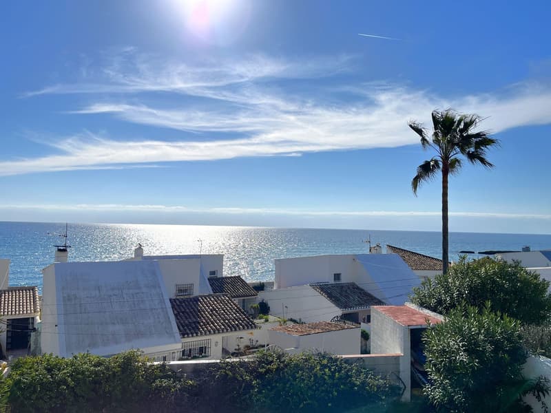 Detached Villa in Estepona