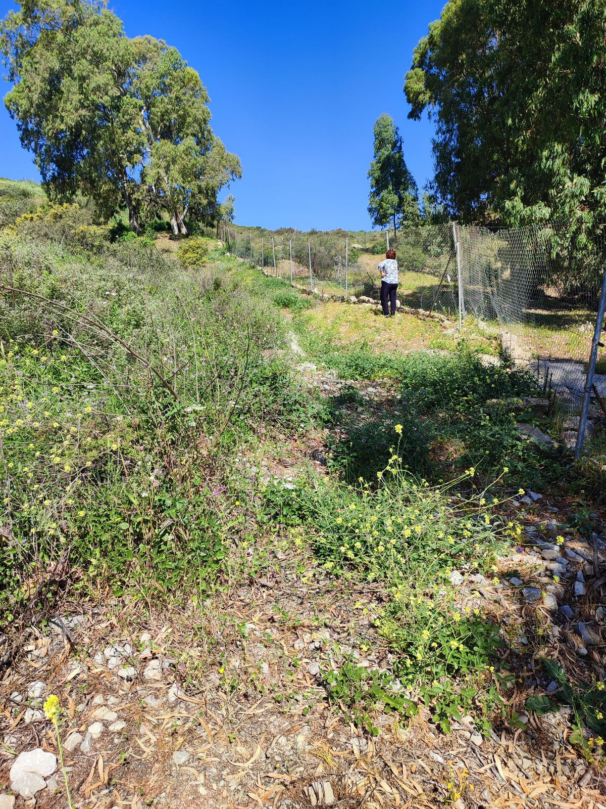 Land in Estepona