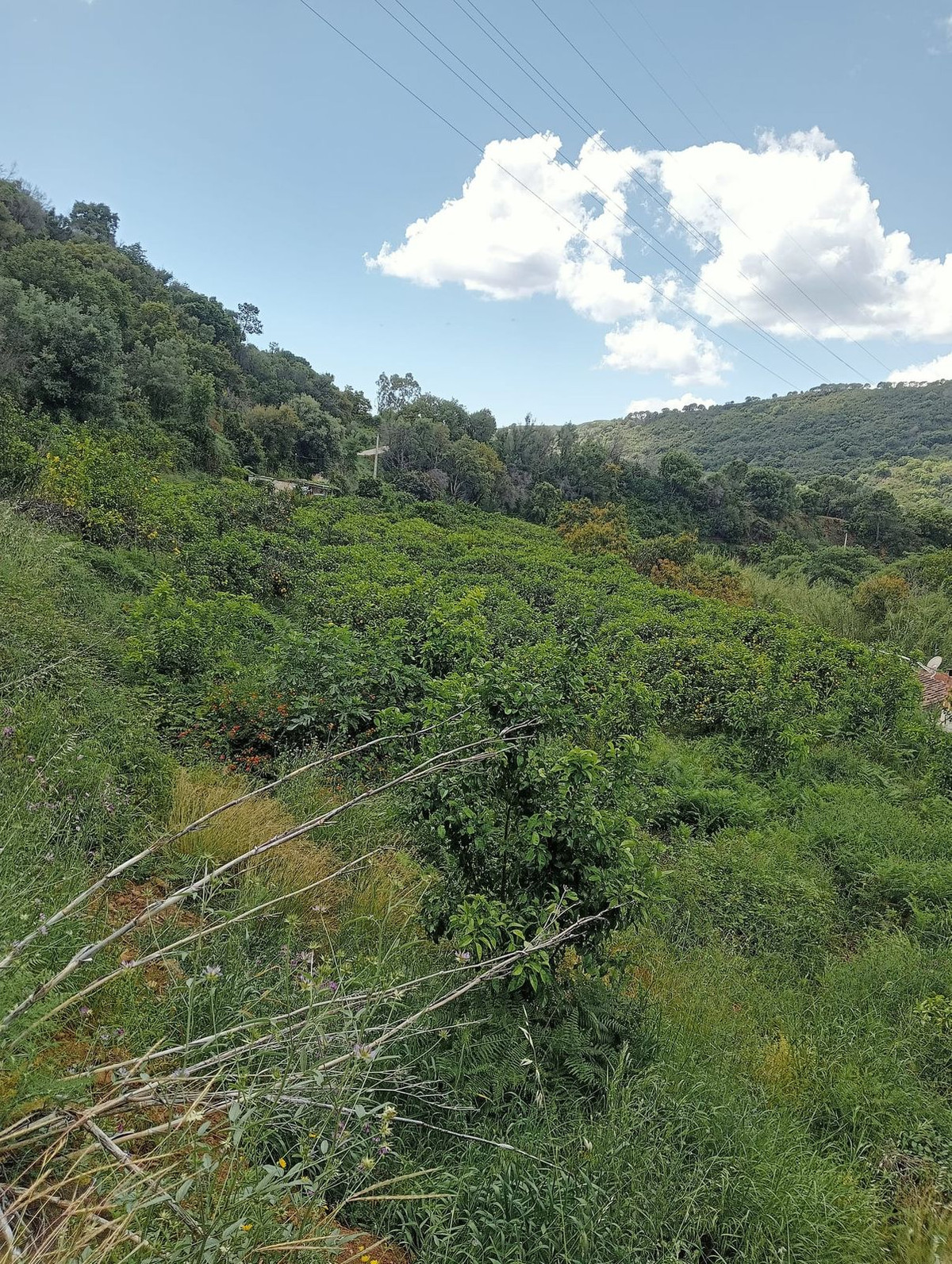 Land with Ruin in Estepona