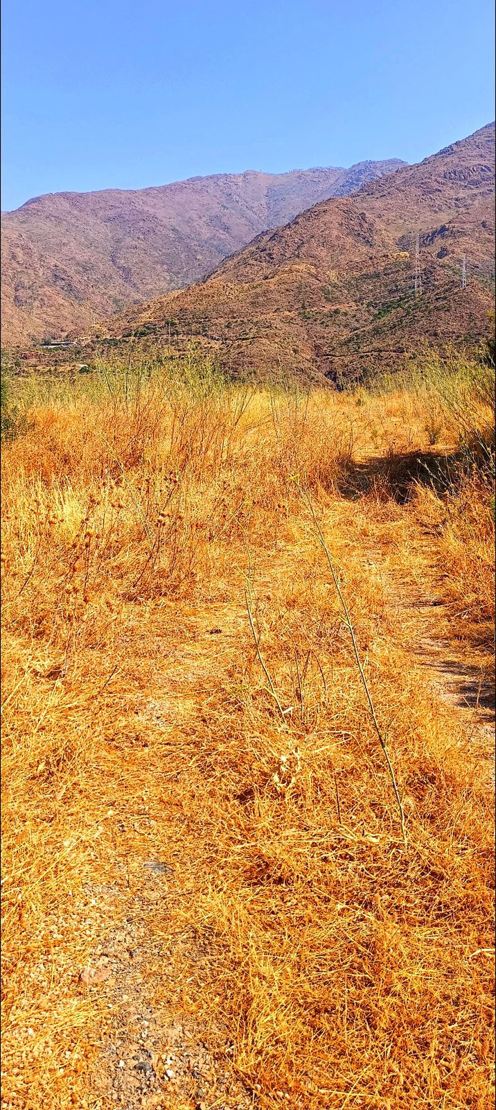 Land in Estepona