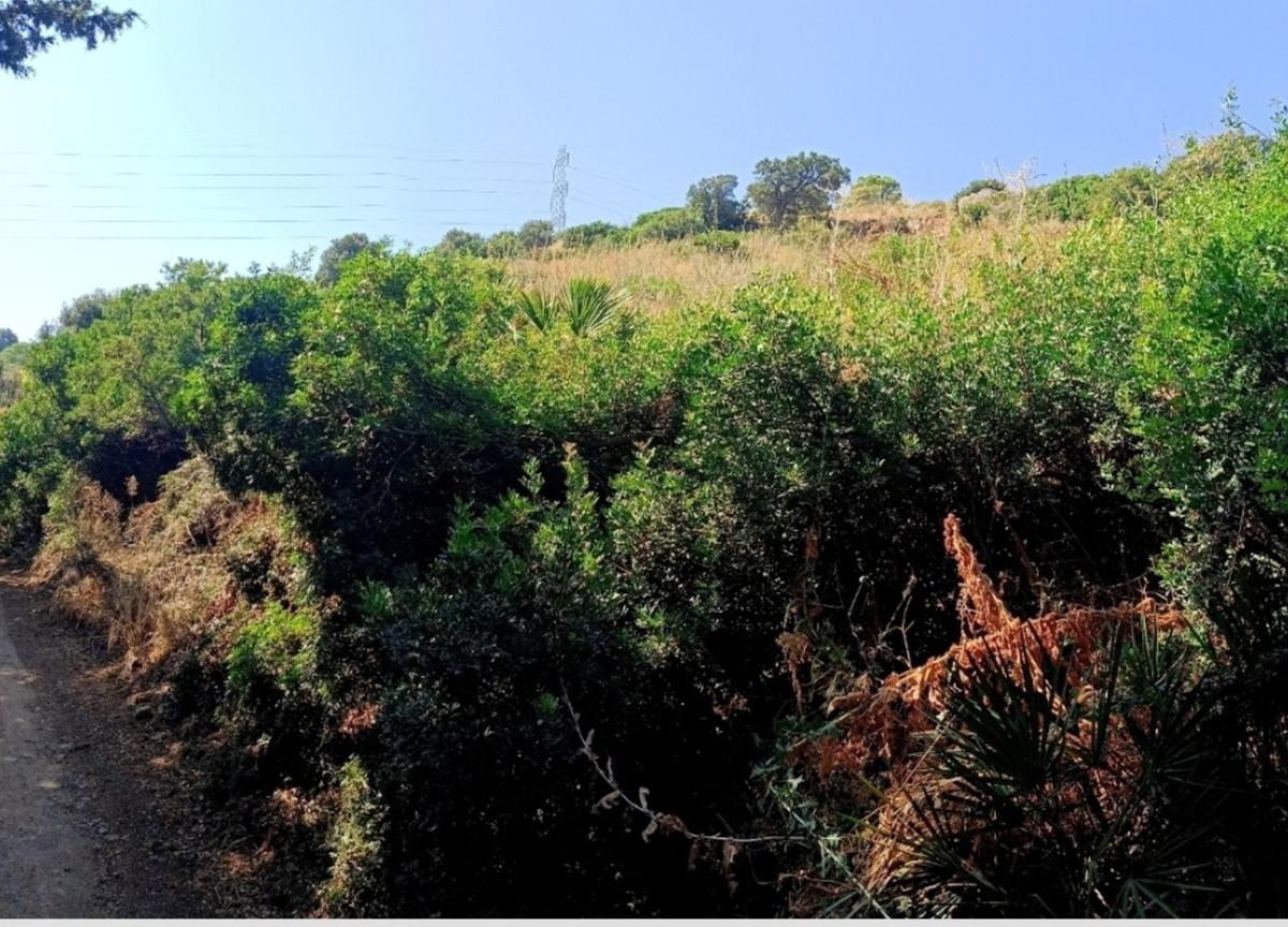 Land in Estepona