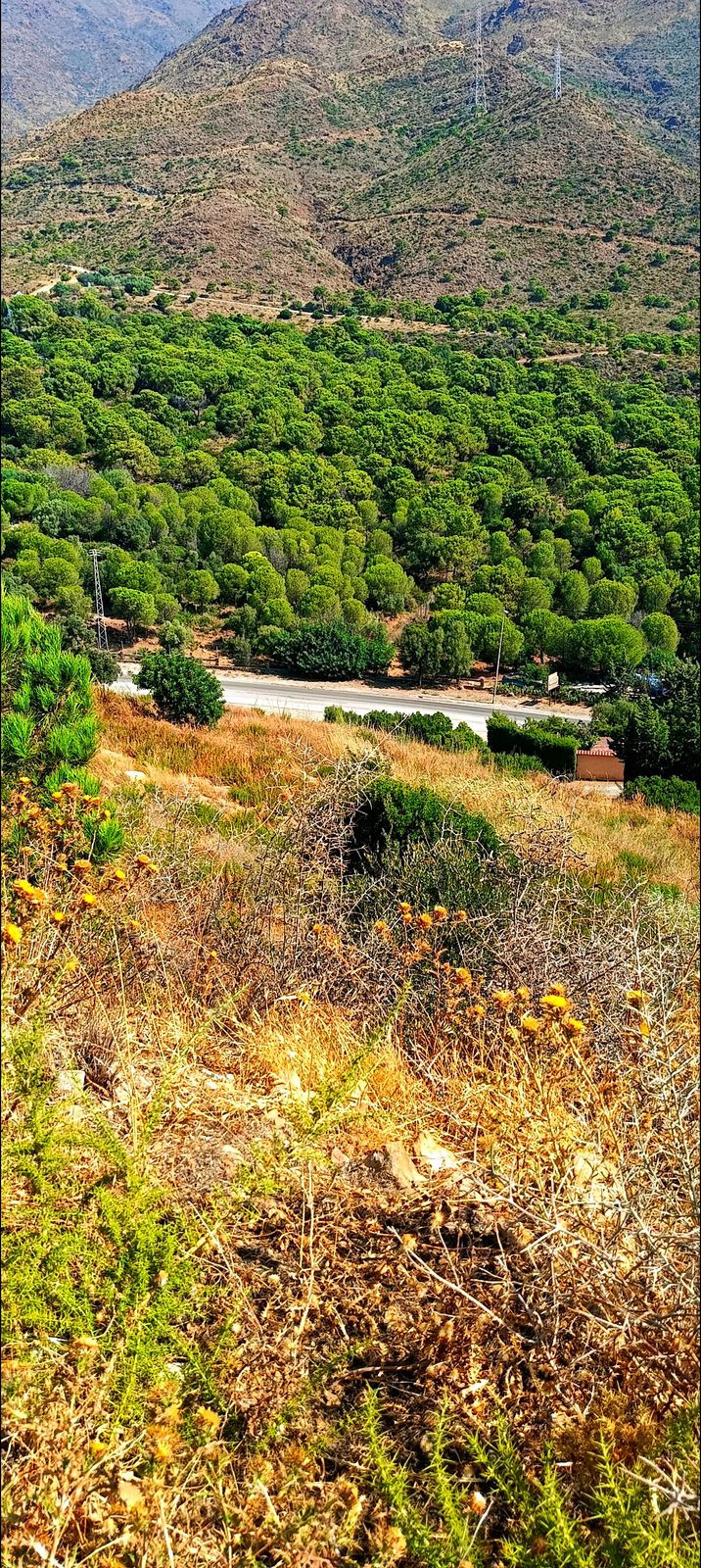 Land in Estepona