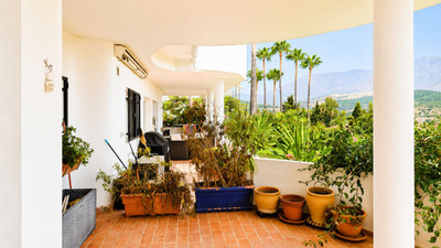 Ground Floor Apartment in Estepona