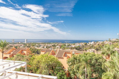 Penthouse in Elviria