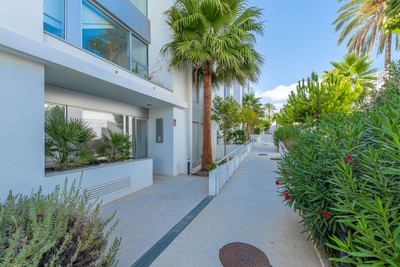 Penthouse in Cancelada