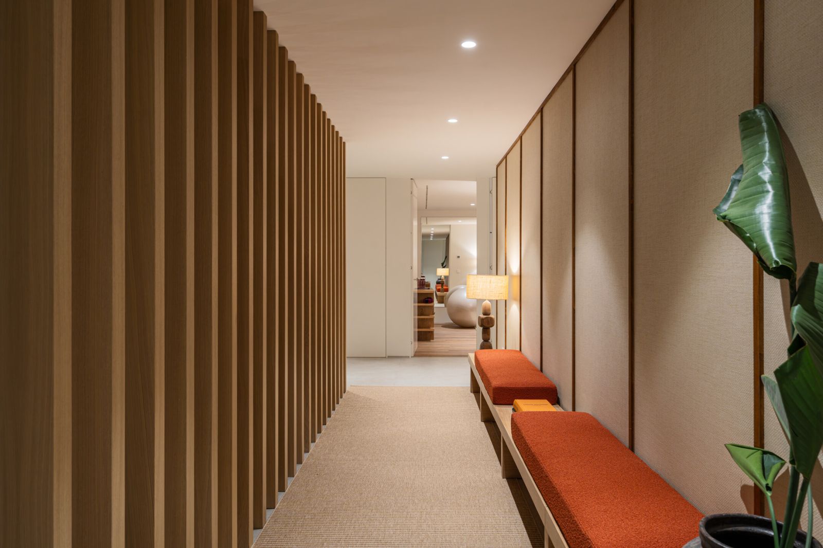 Cerquilla 57B - Image 7