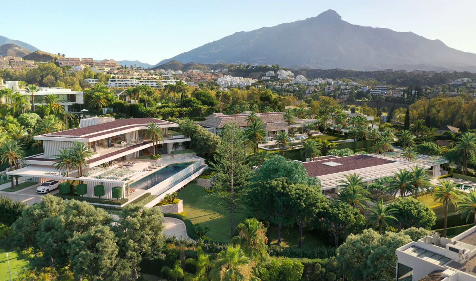Cerquilla 39C - Image 11
