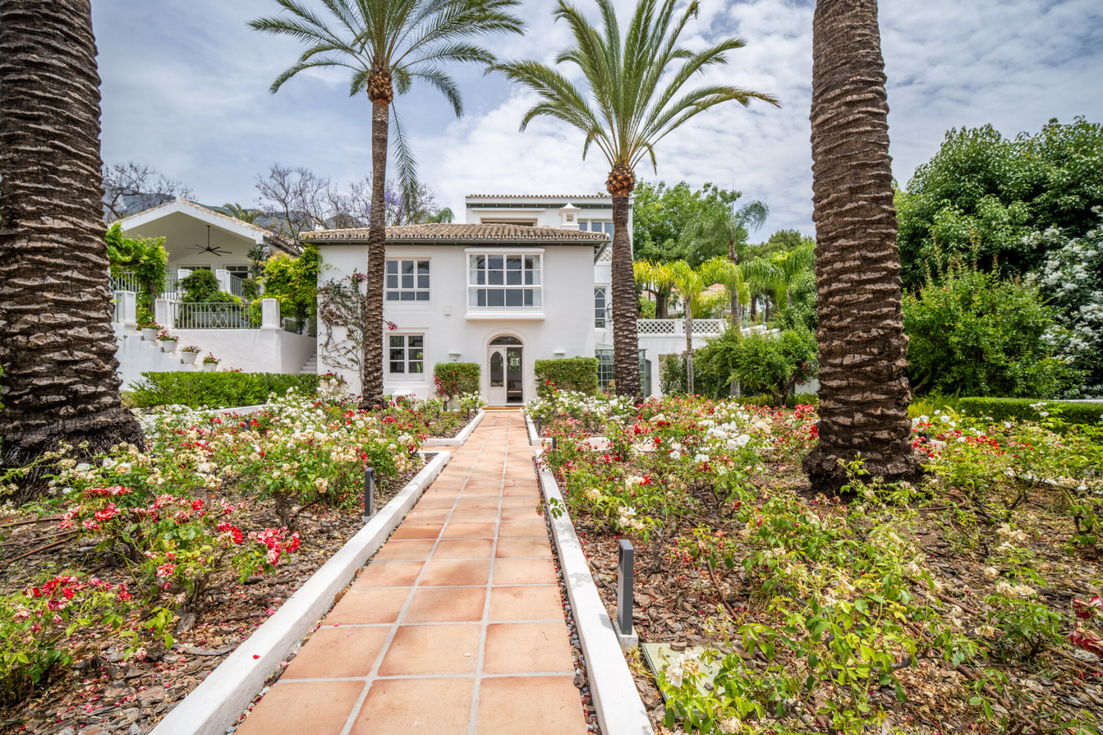 Mozart 37 - Image 2