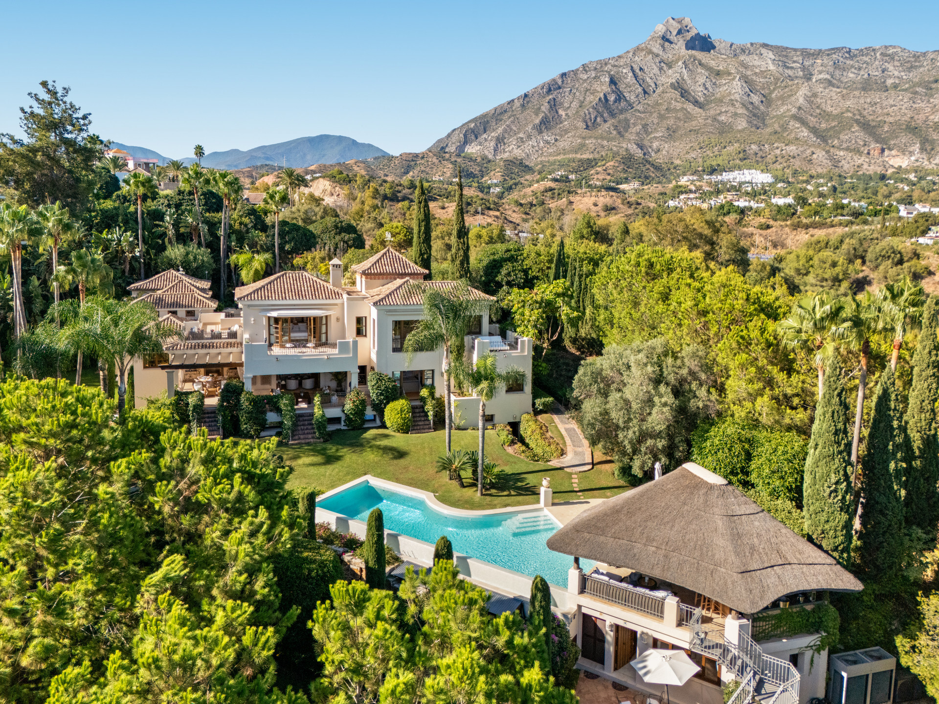 El Bosque - Image 2
