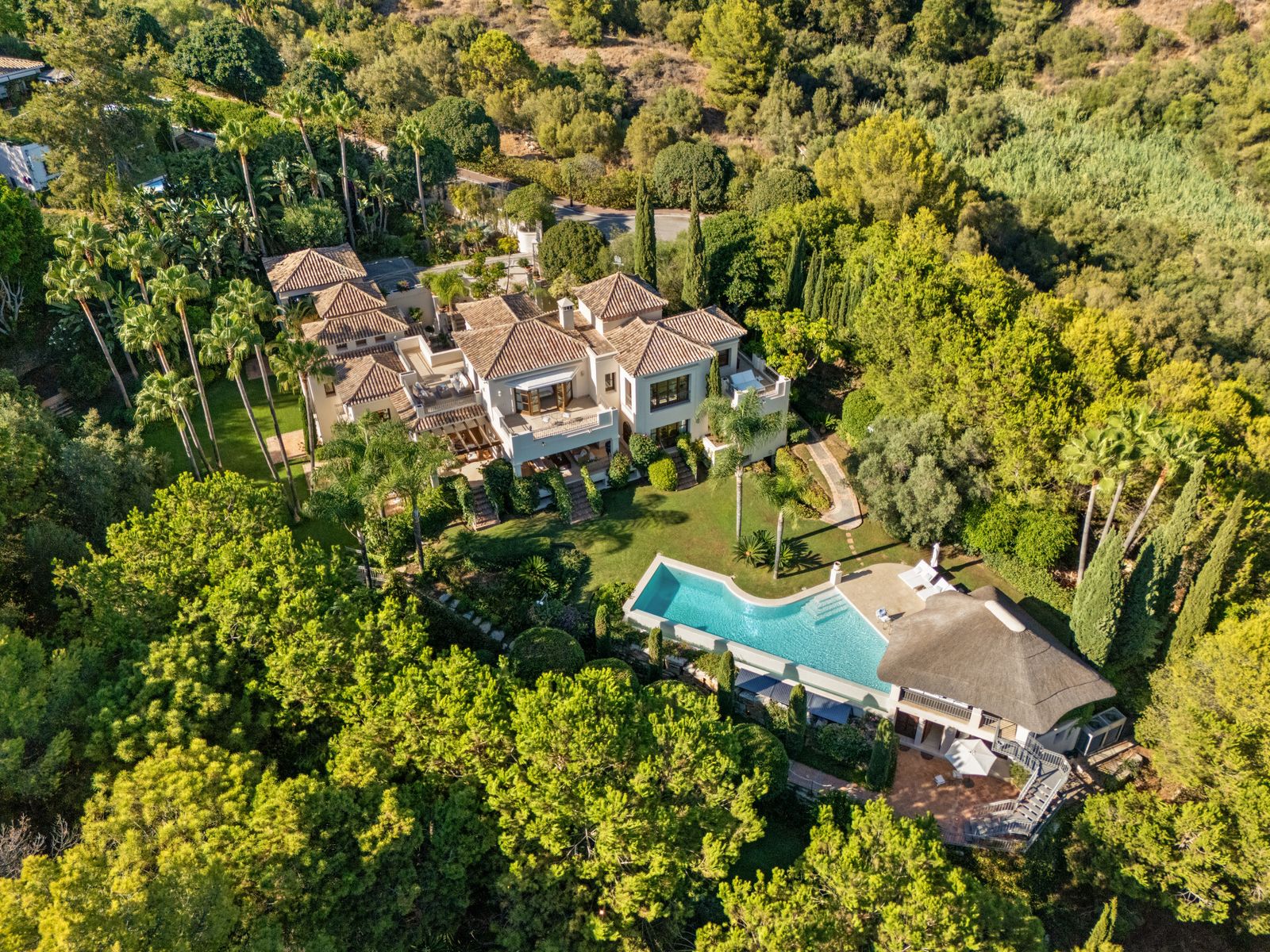 El Bosque - Image 49